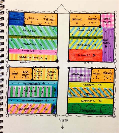 Zone 5 6 Wisconsin garden layout using companion theory and square foot ...