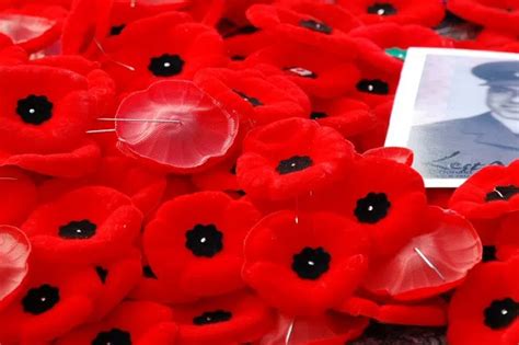 Royal Canadian Legion launches Remembrance Day poppy sales | 980 CJME