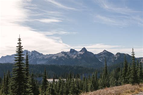 Green Pine Trees Across Mountains · Free Stock Photo