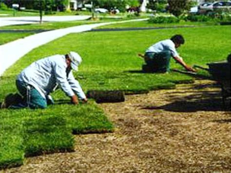 CULTURA AMBIENTAL: BENEFICIOS SOCIALES DE LAS AREAS VERDES