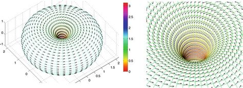 Configuration of the scalar field α and of the vector field n of a... | Download Scientific Diagram