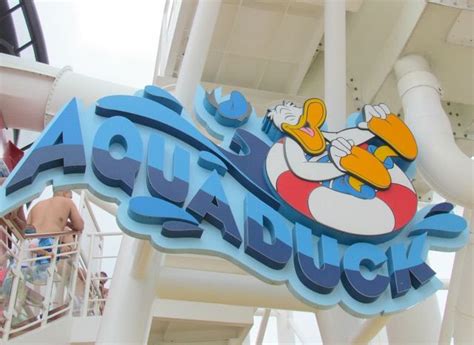 Explore the AquaDuck Water Coaster on the Disney Dream Cruise Line | Disney dream, Disney ...