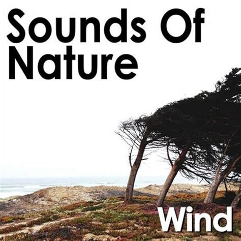 Sounds of Nature: Wind by Pro Sound Effects Library on Amazon Music - Amazon.co.uk