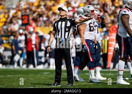 Referee Land Clark (130) signals intentional grounding during an NFL football game, Sunday, Sept ...