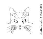 Minimalist Cat Drawing Free Stock Photo - Public Domain Pictures