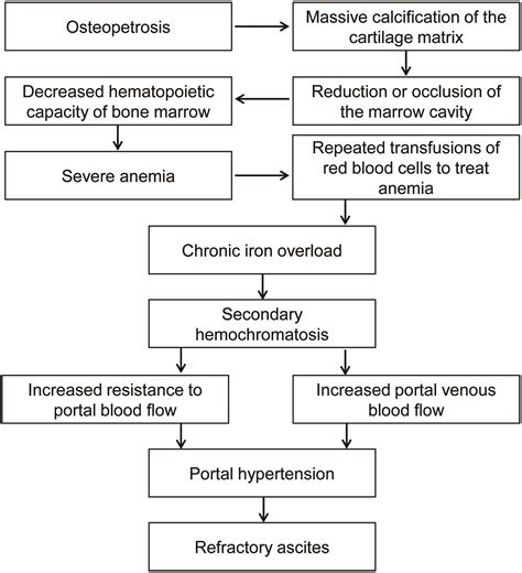 Portal Hypertension Refractory Ascites Caused by Secondary Hemochromatosis