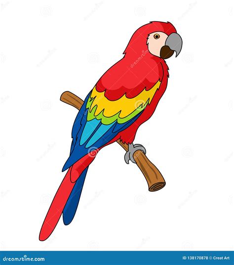 Scarlet Macaw Illustration Vector Stock Vector - Illustration of logo ...