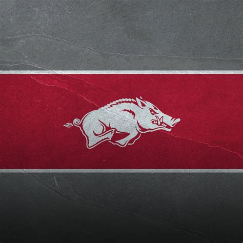 Arkansas Razorbacks Wallpapers - Wallpaper Cave