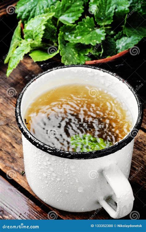 Cup of melissa tea stock photo. Image of flora, blooming - 133352300