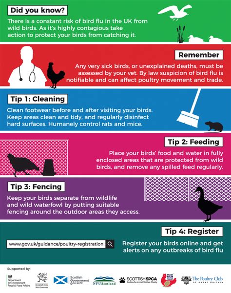 Avian Influenza (Bird Flu) | British Hen Welfare Trust