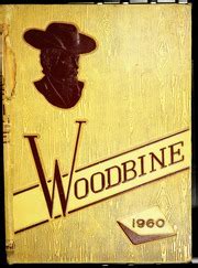 James Wood High School - Woodbine Yearbook (Winchester, VA), Covers 1 - 6