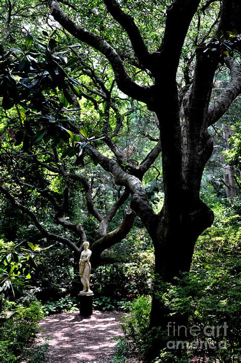 Virginia Dare Statue in Elizabethan Gardens Photograph by Tatyana ...