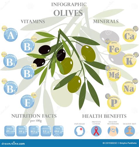 Olives Nutrition Facts And Health Benefits Infographic Vector ...