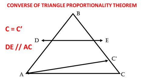 Triangle Proportionality Theorem (With Proof and Examples) - Owlcation