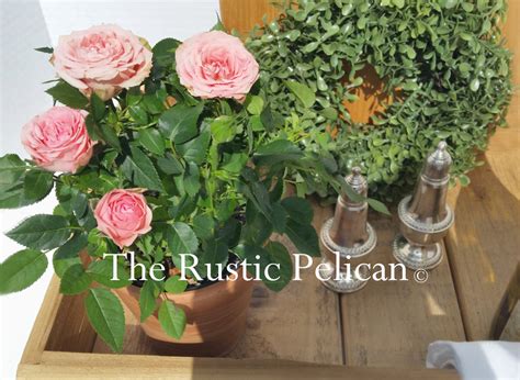 Modern Farmhouse Rustic Serving Tray-Farmhouse Kitchen Free Shipping - The Rustic Pelican