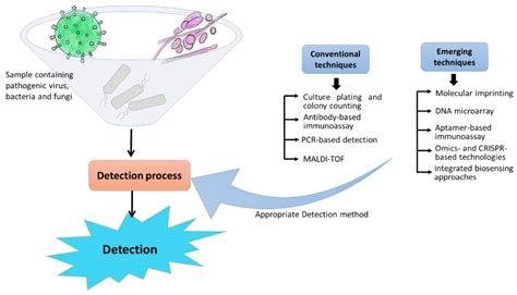 Biosensors | Free Full-Text | Current Scenario of Pathogen Detection Techniques in Agro-Food Sector