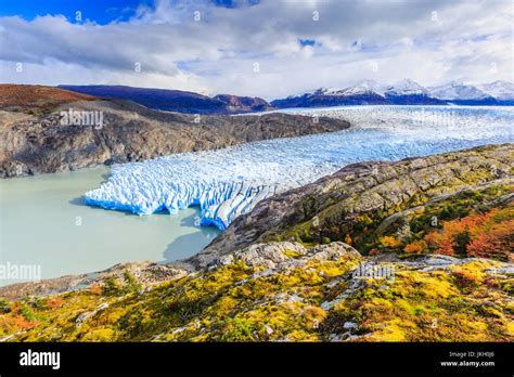 Torres Del Paine National Park, Chile. Grey glacier Stock Photo - Alamy