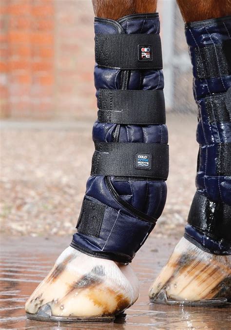 How to Use Ice Boots for Horses – Active Equine