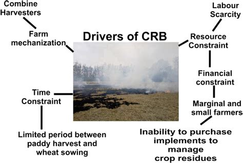 Drivers of crop residue burning. | Download Scientific Diagram