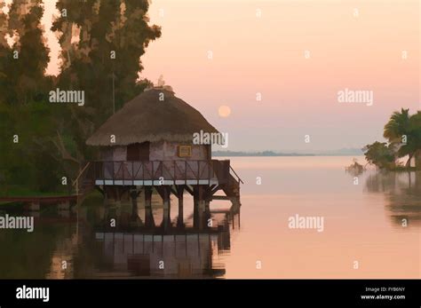 Laguna del Tesoro, Treasure Lagoon at sunrise, Palm trees and wooden ...