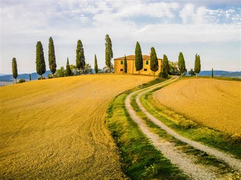 Paesaggio toscano, Italia fotografia stock. Immagine di coltivato ...