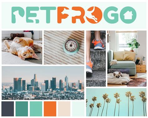 Branding / Mood Board For Dog Walker in Los Angeles | Pet businesses, Design, Branding mood board