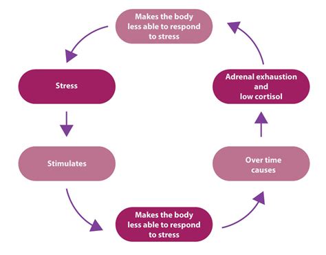 Adrenal Causes Of Fatigue