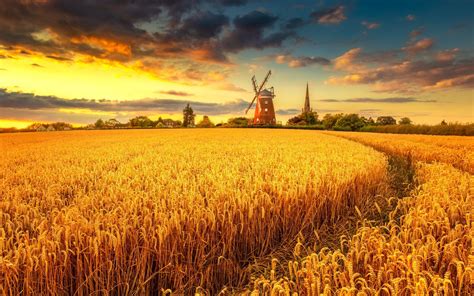 1920x1200 Resolution Windmill on Wheat Field at Sunset 1200P Wallpaper ...