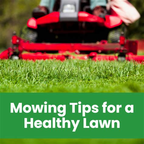 Mowing Lawn Tips - Landzie