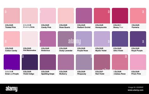 Shades Of Pink Color Chart