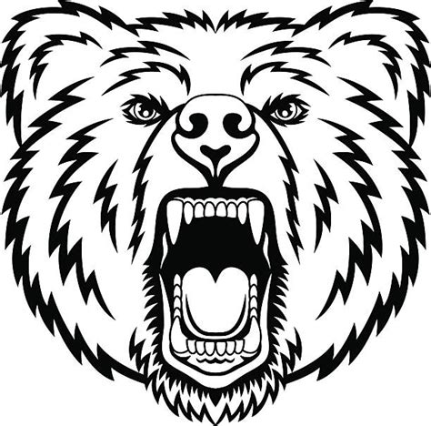 Best Roaring Bear Illustrations, Royalty-Free Vector Graphics & Clip ...