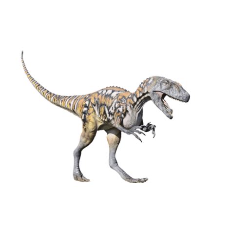 Australovenator | Lifesize Models