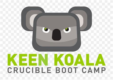 Koala Logo Brand, PNG, 2600x1850px, Koala, Bear, Brand, Logo, Mammal ...