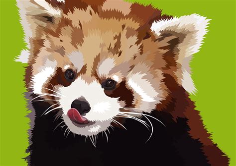 Red Panda Vector by elviraNL on DeviantArt