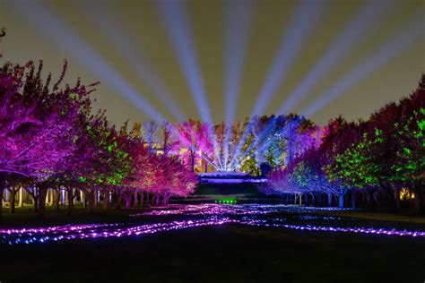 Where to see holiday lights in NYC in 2023