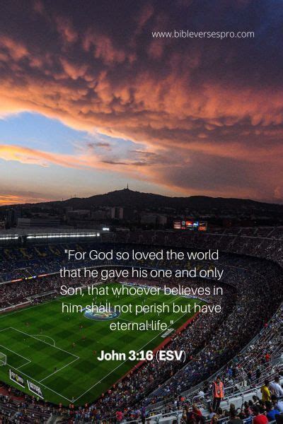 Inspirational Bible Verses For Sports