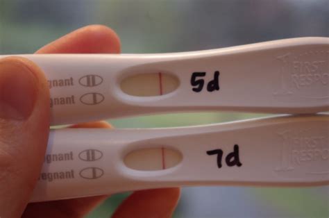 First Response Pregnancy Test - Charlie Munson - Medium