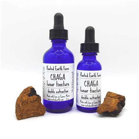 Chaga Mushroom Tincture | Rooted Earth Farms