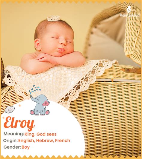 Elroy Name Meaning, Origin, History, And Popularity