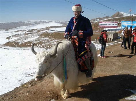 Yak riding in Central Asia | Caravanistan