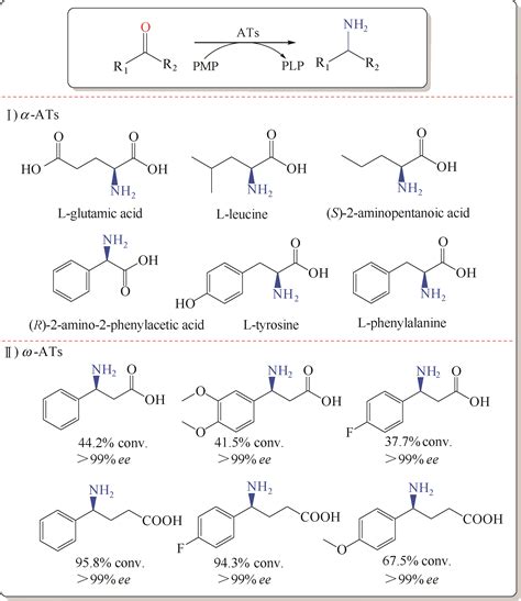 Advances in the synthesis of chiral amines by biocatalytic C—N bond formation