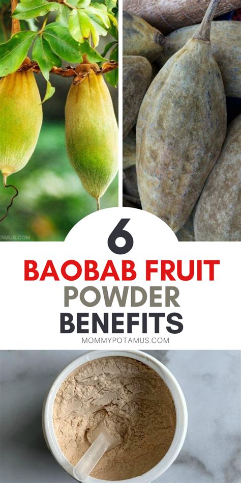 6 Benefits of Baobab Fruit Powder & How To Use It in 2021 | Healthy organic, Organic recipes ...