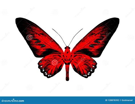 Silhouette of a Red Butterfly Isolated on White Background. Stock ...