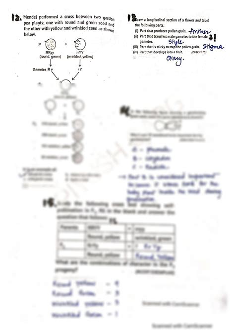 SOLUTION: X biology diagrams solutions - Studypool