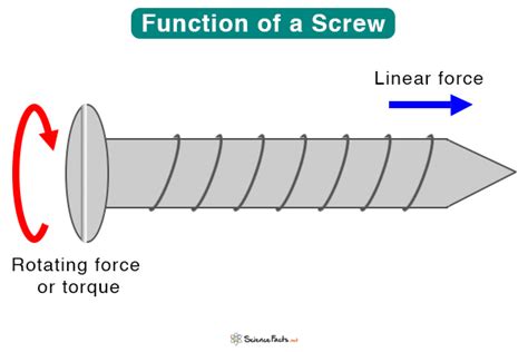 Screw: Definition and Examples