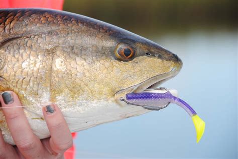 Matrix Shad Fishing Lures - Soft Plastic Bait for Trout & Redfish