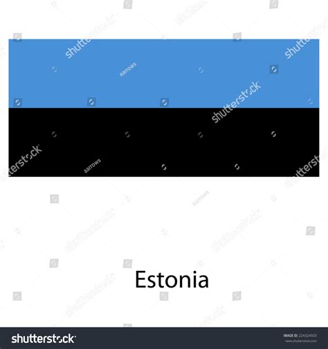 Flag Country Estonia Illustration Exact Colors Stock Illustration ...