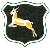 The evolution of the Springbok emblem