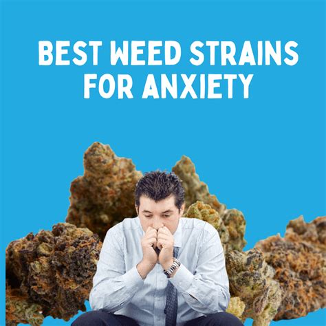 Try The 7 Best Weed Strains For Anxiety and ADHD