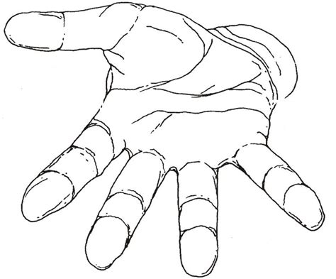 Open Palm Hand Drawing at GetDrawings | Free download